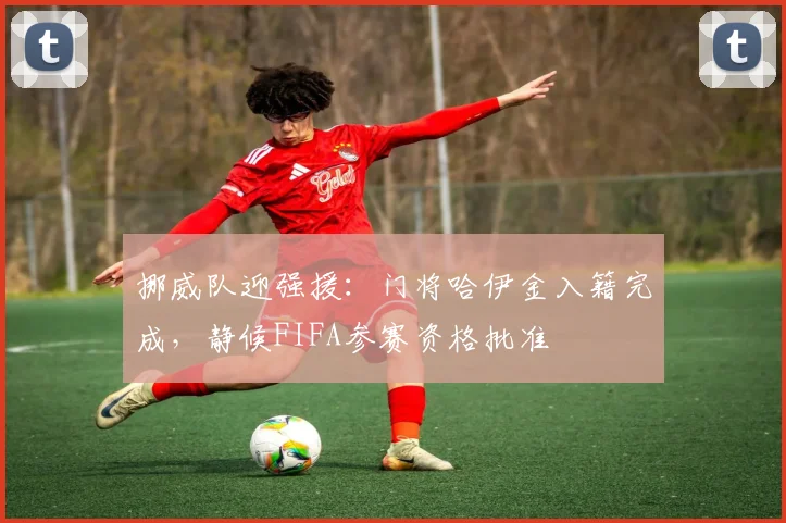 挪威队迎强援：门将哈伊金入籍完成，静候FIFA参赛资格批准